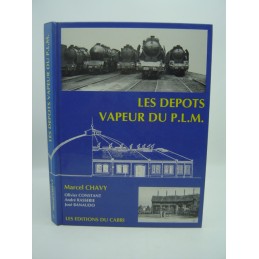 les dépôts vapeur du PLM