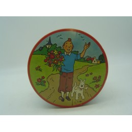 Brochet boite tintin et milou